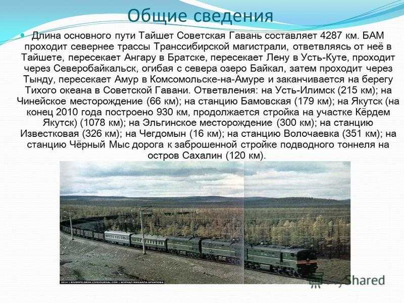Николай стариков