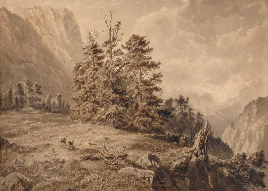Александр калам - alexandre calame