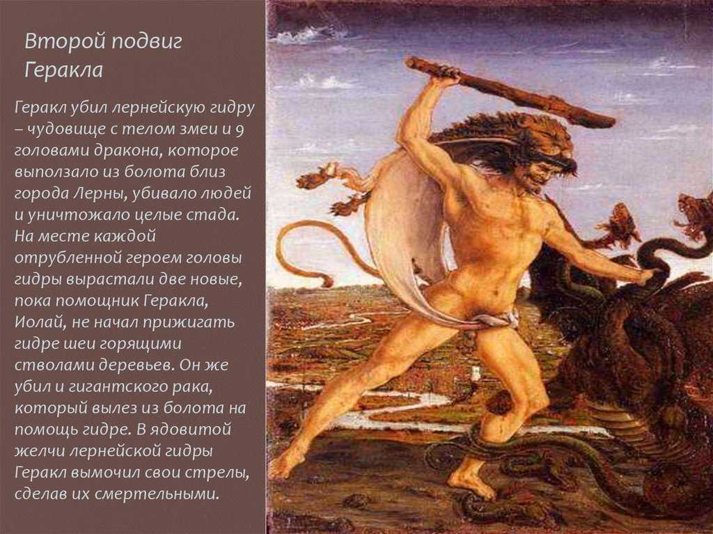 Описание 12 подвигов геракла кратко