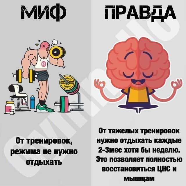 Миф vs факт | «всё может стать поводом для вдохновения, даже пустота»