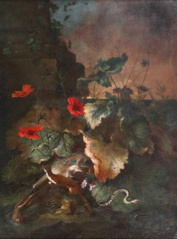 Отто марсей ван шрик - otto marseus van schrieck