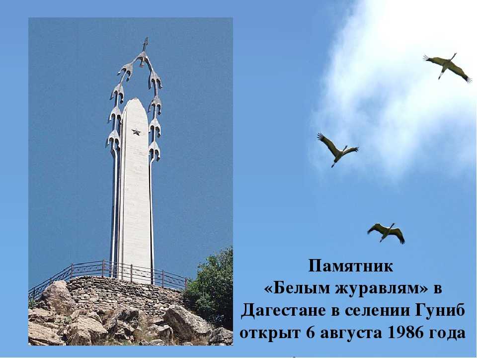 История песни журавли фото