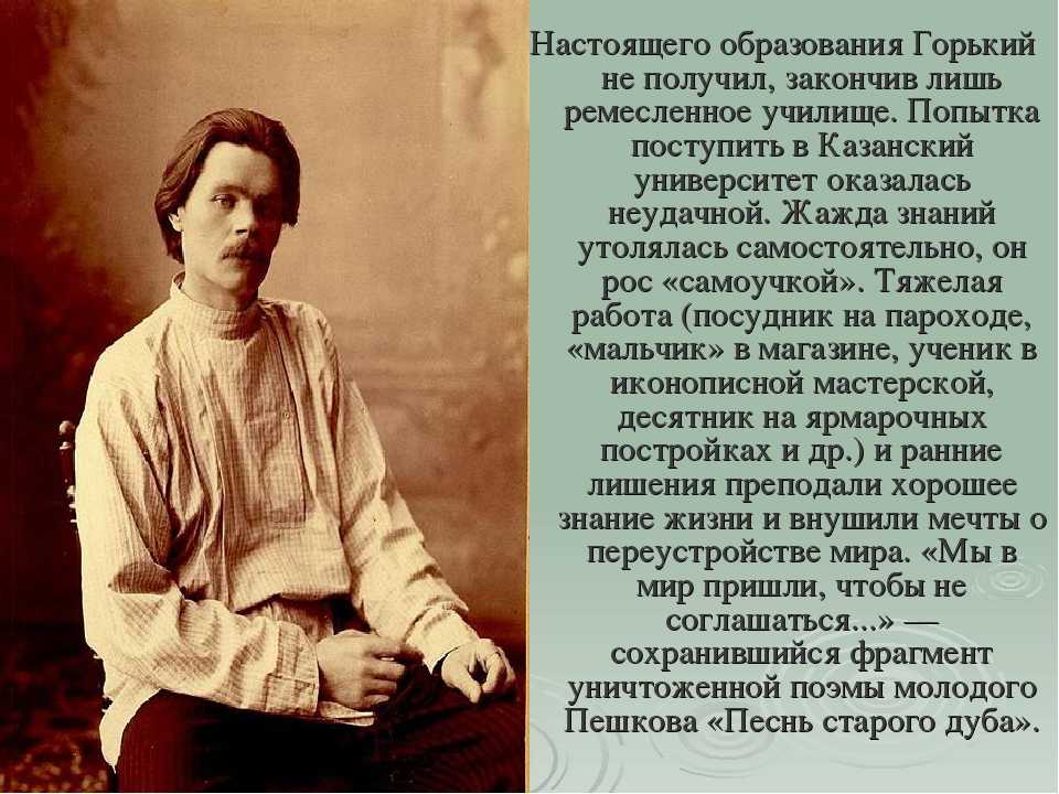 Григорович дмитрий васильевич: биография и фото, самые известные произведения