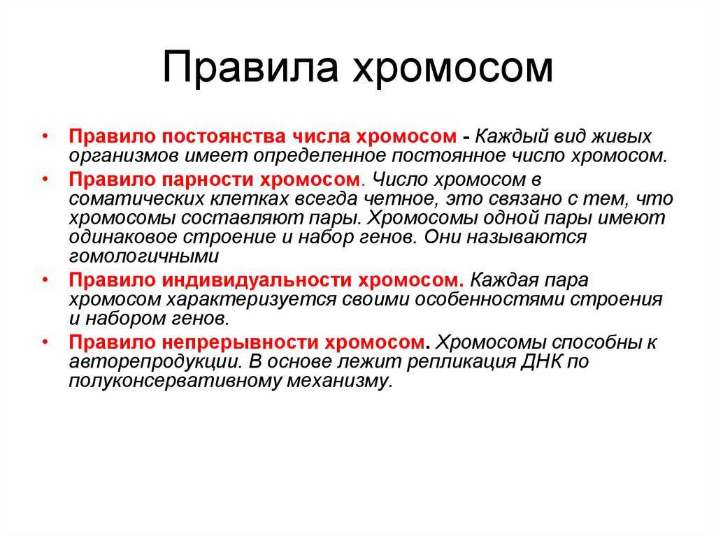 Какие приемы использовал умберто боччони?