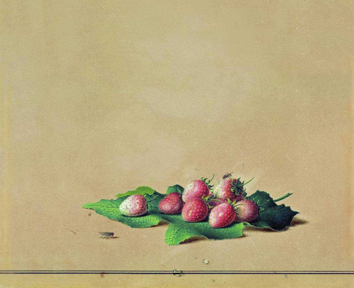 Художник решетников биография и его картины. художник фёдор решетников. история создания картины «опять двойка! педагогическая деятельность. звания, премии, награды