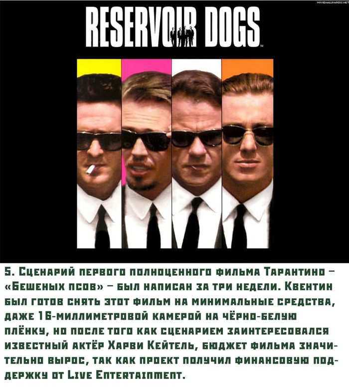 От «бешеных псов» до «омерзительной восьмерки» — вспомним все фильмы квентина тарантино