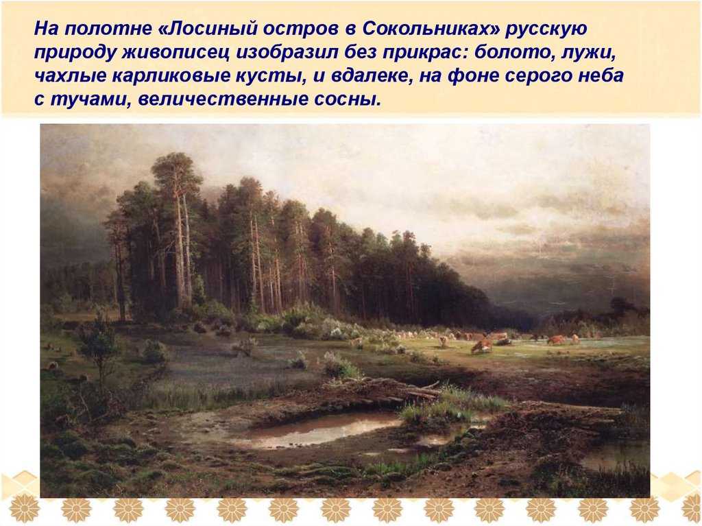 Вид в окрестностях ораниенбаума