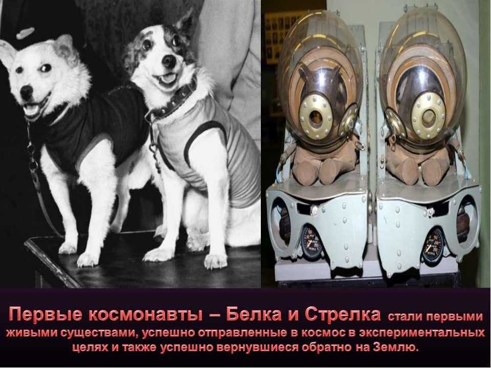 Умберто боччони биография, манифесты футуризма, мнение а.в. луначарского, произведения