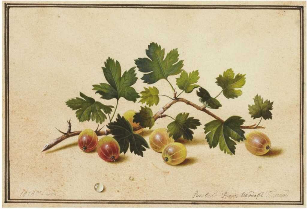 Художник федор толстой 1783-1873 - биография и творчество