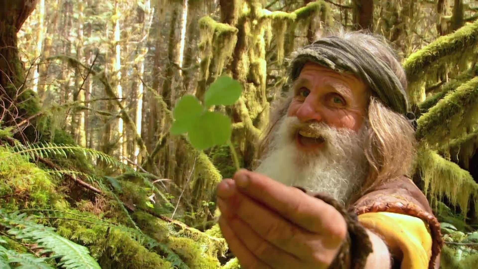 Знахарь человек. Лесной человек. Дед в лесу. Дед из леса. Человек в лесу.
