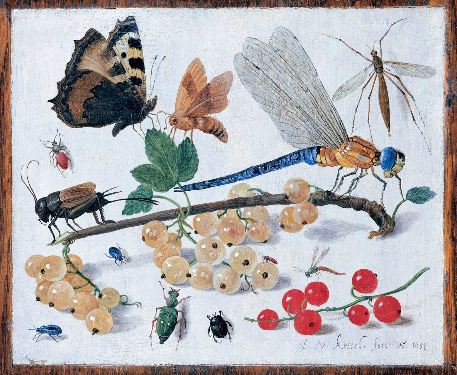 Файл:jan van kessel 003.jpg — викисловарь