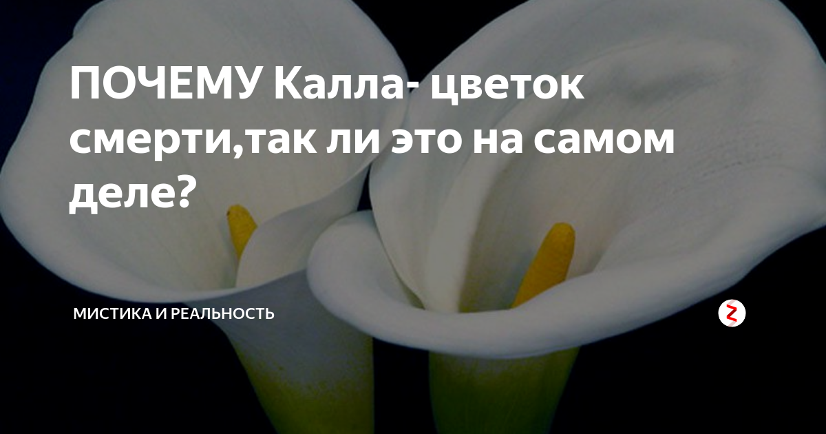Блондинка • по следам заметки "из серии мои путешествия - нью-йорк"