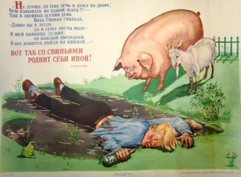 Стих про свинью