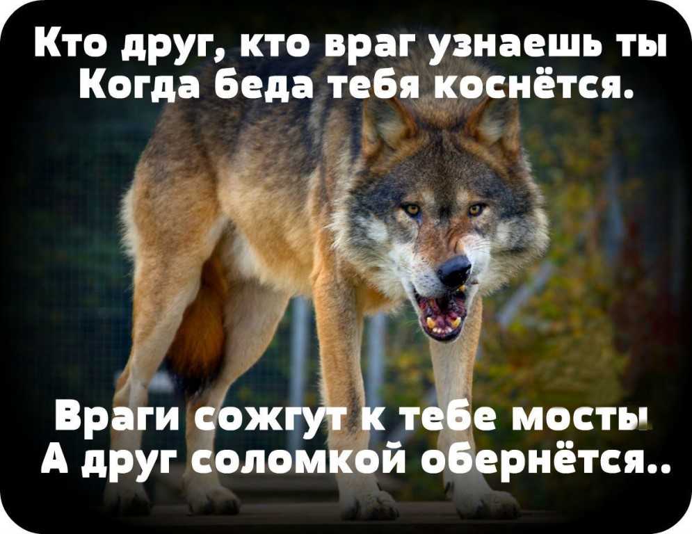 Логотипы мировых музеев / skillbox media