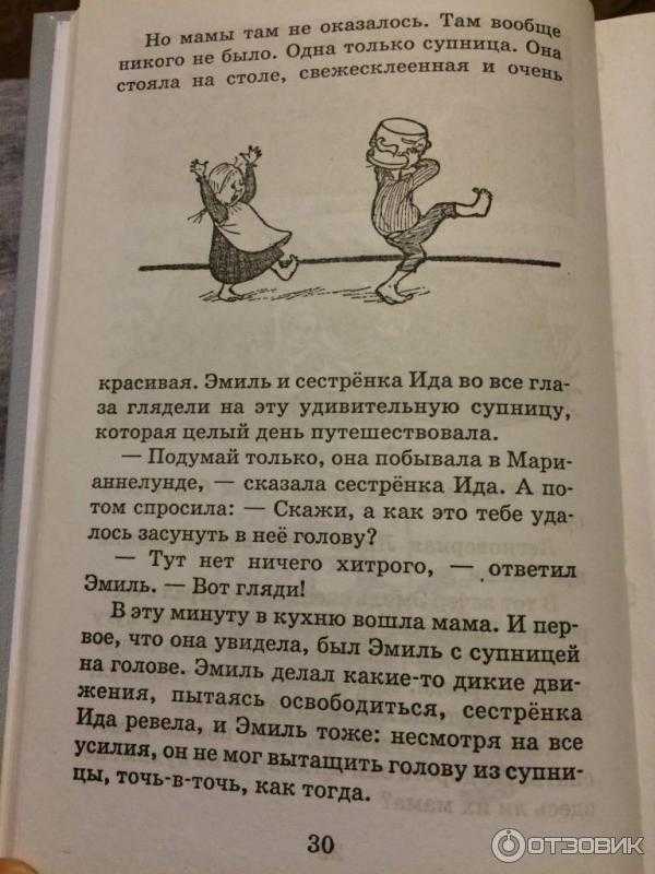 Краткое содержание «приключения эмиля из лённеберги»