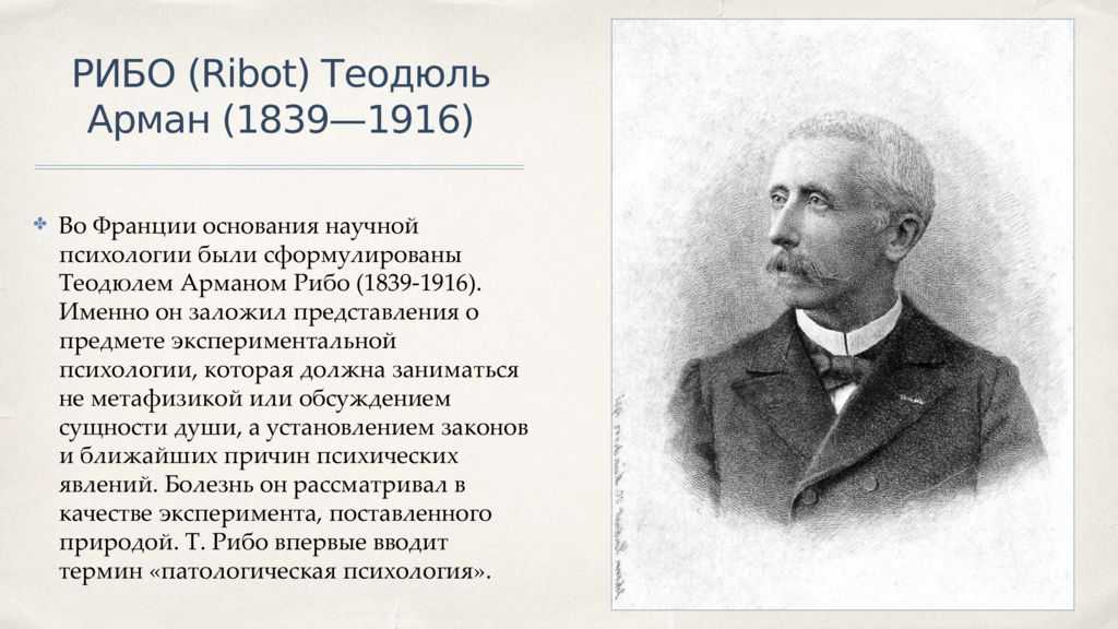 On1.click | рибо, теодюль